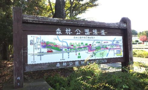 埼玉県東松山市 森林公園緑道