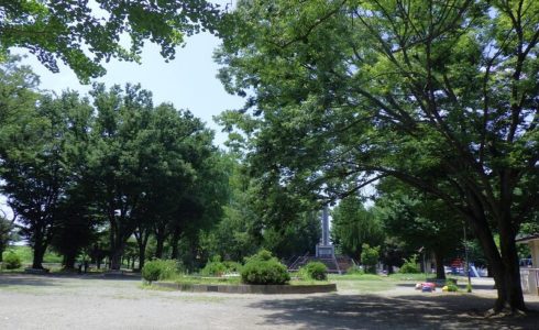 熊谷市荒川公園樹木診断業務