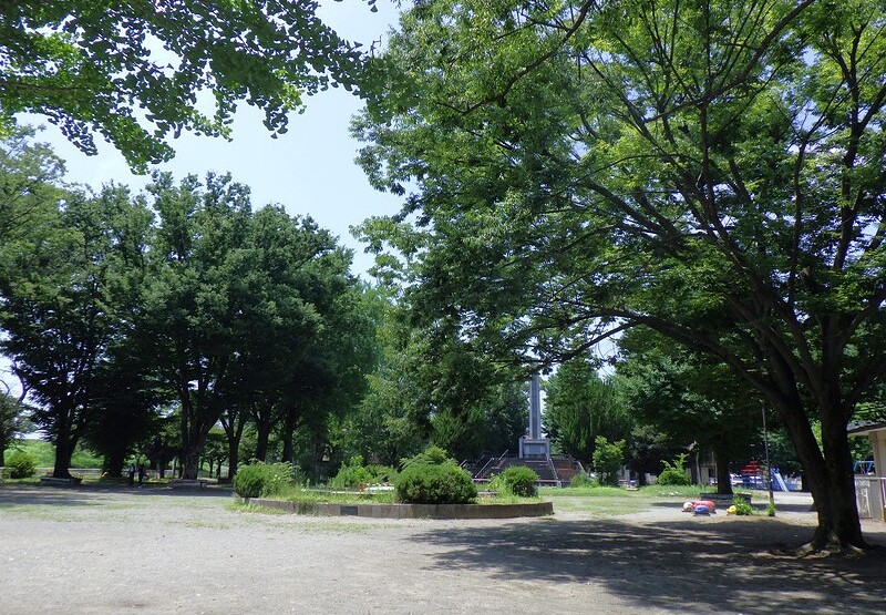 熊谷市荒川公園樹木診断業務