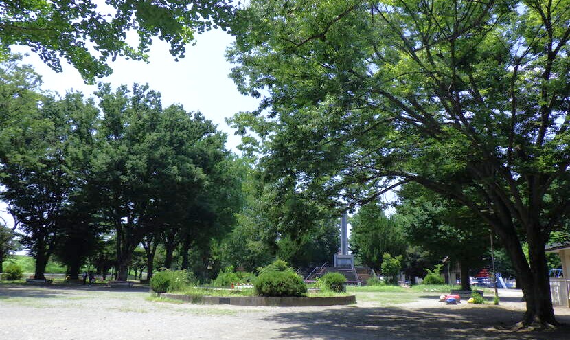 熊谷市荒川公園樹木診断業務
