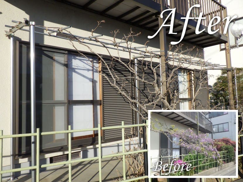 埼玉県熊谷市E様邸 藤棚修繕工事